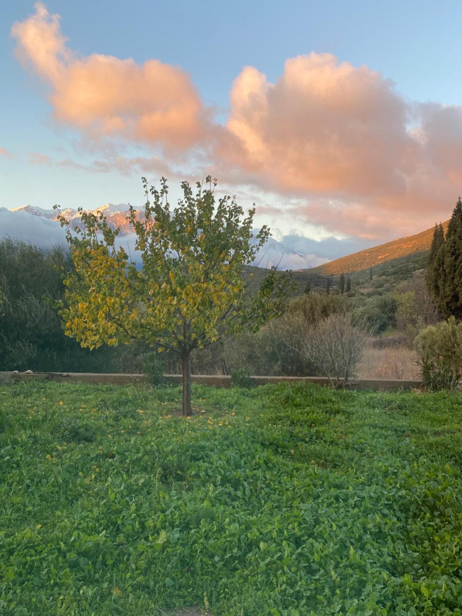 Stellas Guesthouse Near Arachova Stirion Bagian luar foto